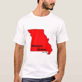 La camisa de Brendan
