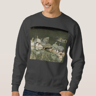 La camisa de los hombres de las tortugas