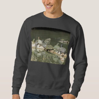 La camisa de los hombres de las tortugas
