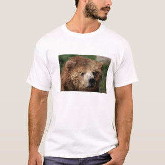 La camisa de los hombres del oso de Brown del