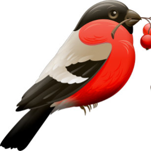 La camisa de verano impresa con un pájaro en rojo