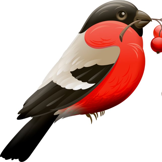 La camisa de verano impresa con un pájaro en rojo  (Subido por el creador)