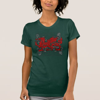 La camisa oscura de las mujeres del dragón Galés