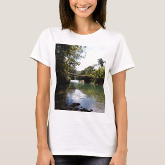 La camiseta básica de sus mujeres de encargo