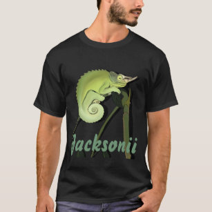 La camiseta Chameleon de Jackson
