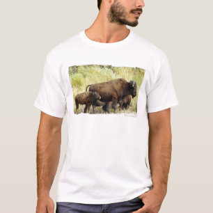 La camiseta de los hombres de itinerancia del