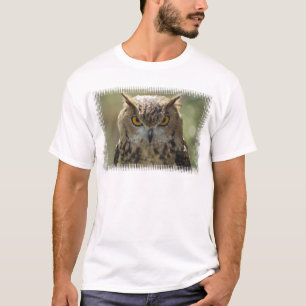 La camiseta de los hombres de la foto del búho