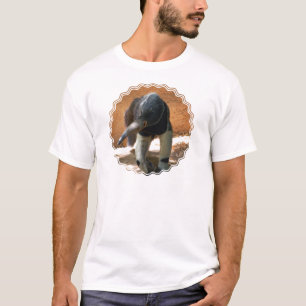 La camiseta de los hombres del Anteater