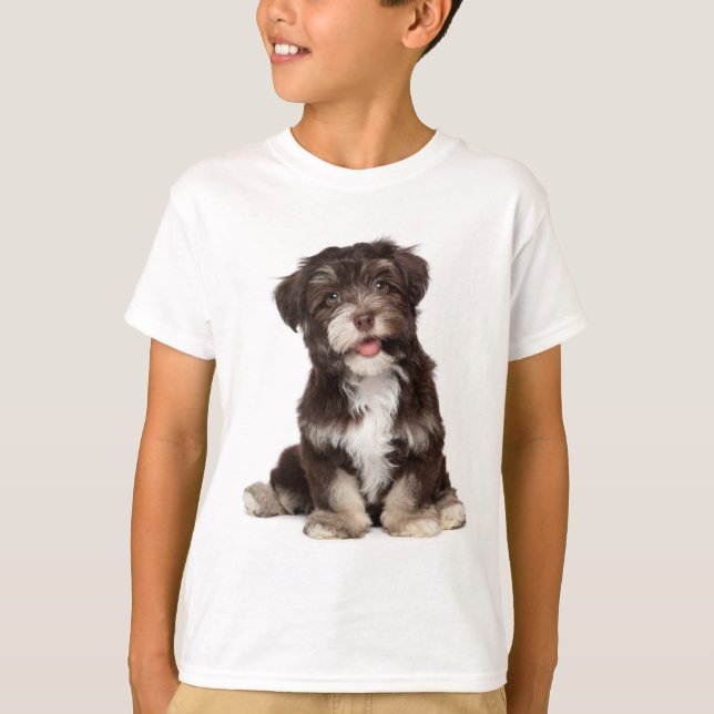 La camiseta de los perros pagados de Los Habaneses (Anverso)