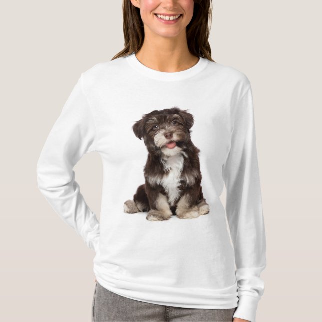 La camiseta de los perros pagados de Los Habaneses (Anverso)