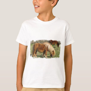 La camiseta de Shetland del niño lanudo del potro