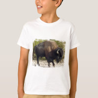 La camiseta del niño americano del búfalo