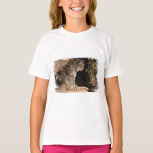 La camiseta del niño de las fotos del lince
