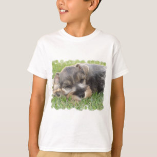 La camiseta del niño del Schnauzer que dormita