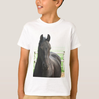La camiseta del niño frisio del caballo