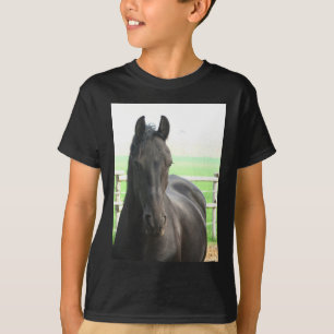 La camiseta del niño frisio del caballo