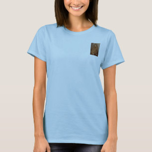 La camiseta secreta del Calypso