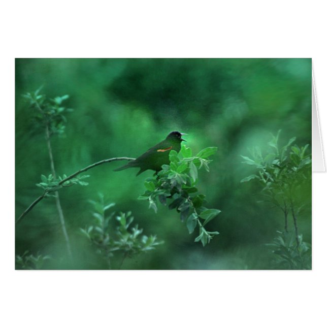 La canción (Anverso (Horizontal))