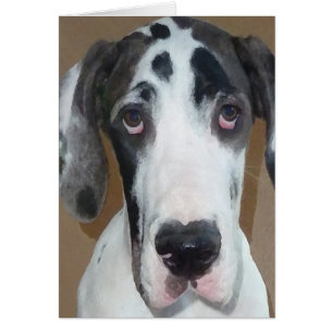 La cara torpe del artillero del perrito de great
