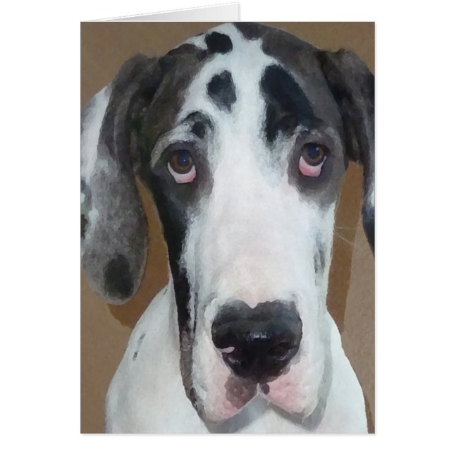 La cara torpe del artillero del perrito de great (Frente)