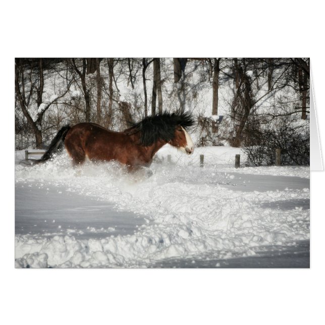 La carrera de nieve de Clydesdale (Anverso (Horizontal))