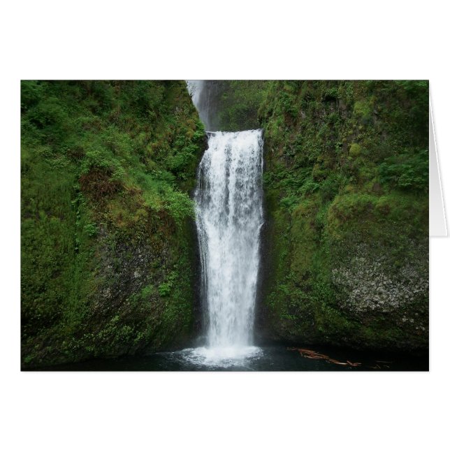 La carta de caídas más bajas (Anverso (Horizontal))