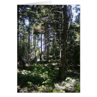 La carta de las hadas monheganas