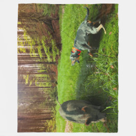 La Catahoula y la manta de la hoguera salvaje