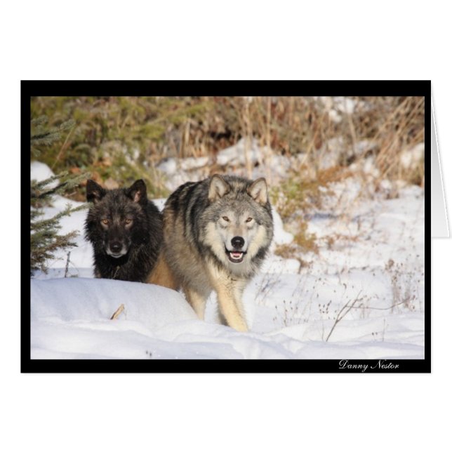 La caza (Anverso (Horizontal))