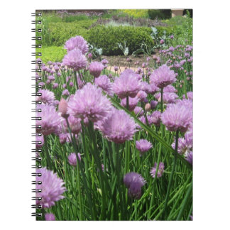 La cebolleta florece cuaderno
