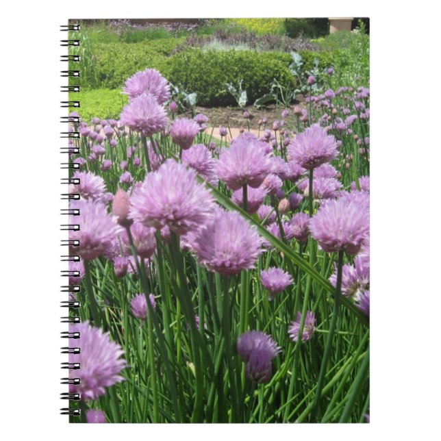 La cebolleta florece cuaderno (Frente)