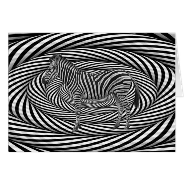 La cebra deslumbra (Anverso (Horizontal))