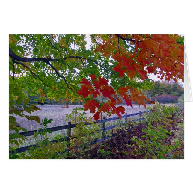 La cerca (Anverso (Horizontal))