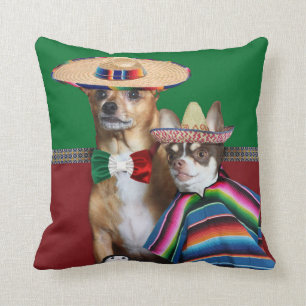 La chihuahua mexicana persigue la almohada de tiro