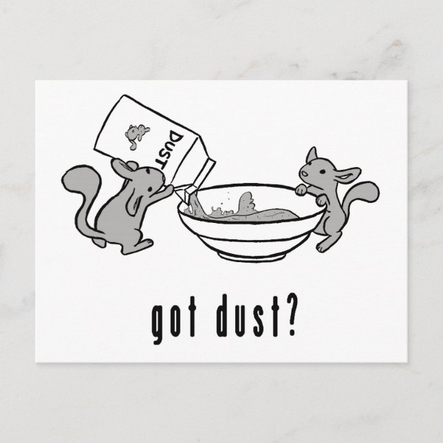 La chinchilla consiguió la postal del polvo (Anverso)