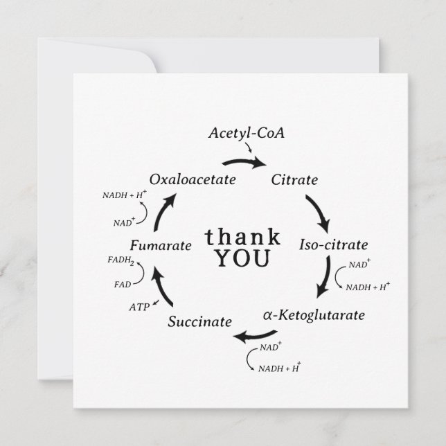 La ciencia gracias a la biología del ciclo del pro (Anverso)