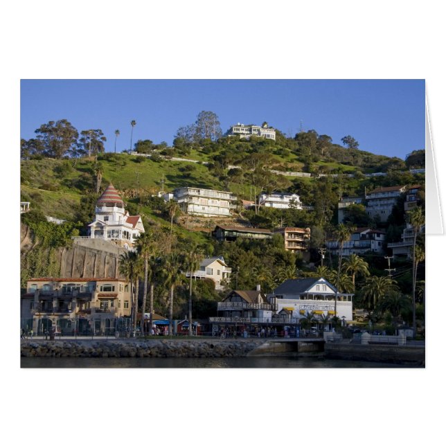 La ciudad de Avalon en la isla Catalina, (Anverso (Horizontal))
