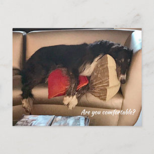 La cómoda postal de Borzoi