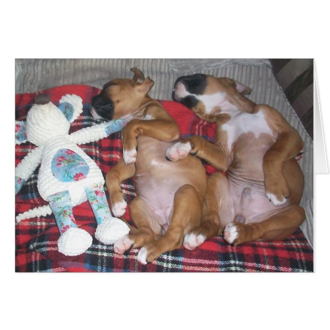 La 'compañía de dos y Better de tres incluso (Anverso (Horizontal))