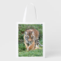 bolsa de alimentación Foto tigre gato. bolsa de co