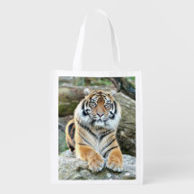 bolsa de compras Photo tiger cat. bolsa de compras