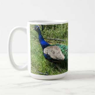La Copa del Pavo Real por Finca Garden