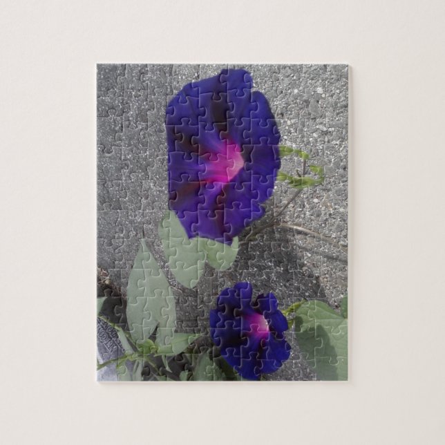 La correhuela florece el rompecabezas (Vertical)