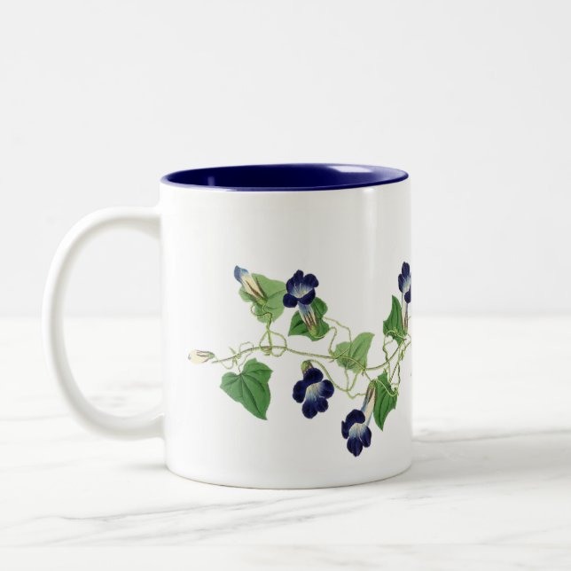 La correhuela florece la taza floral del jardín (Izquierda)