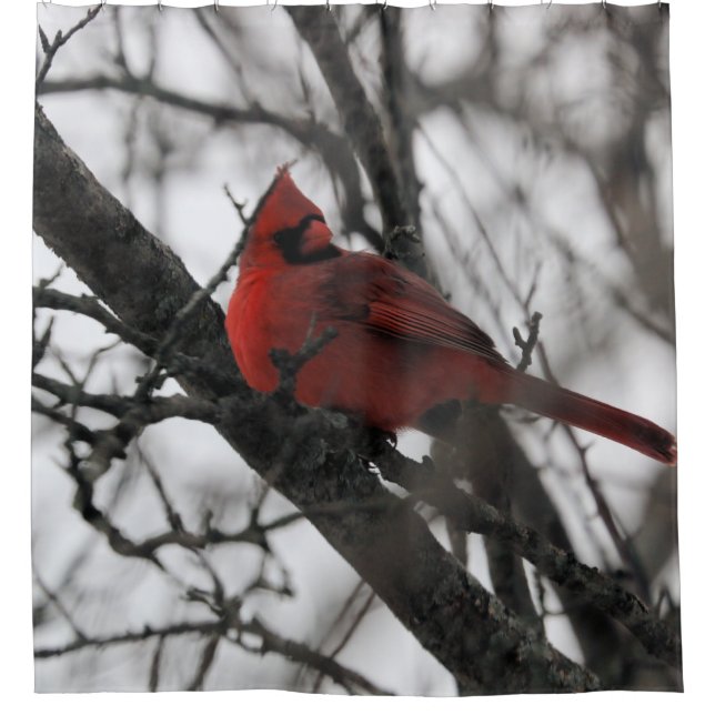 La cortina de ducha Mr. (Anverso)