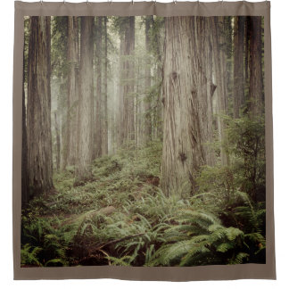 LA CORTINA DE LA DUCHA DE LOS 3 BOSQUES
