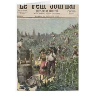 La cosecha del vino