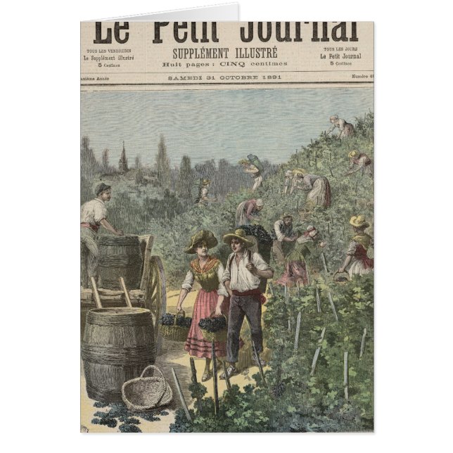 La cosecha del vino (Frente)