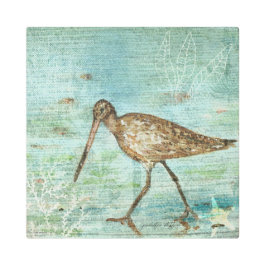 La Costa De Snipe Y El Arte De La Casa De Playa