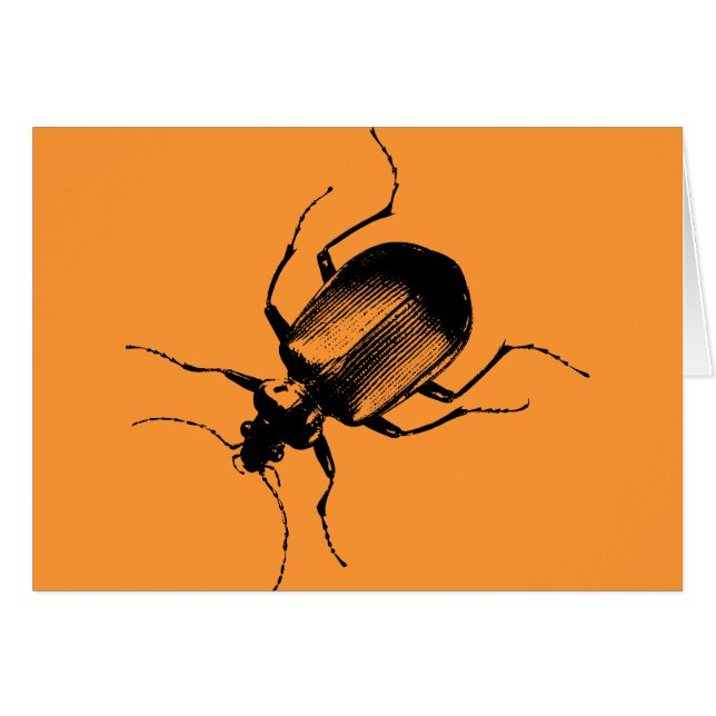 La Cucaracha (Anverso (Horizontal))